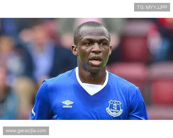 天空曝水晶宫谈谢里夫永久转会